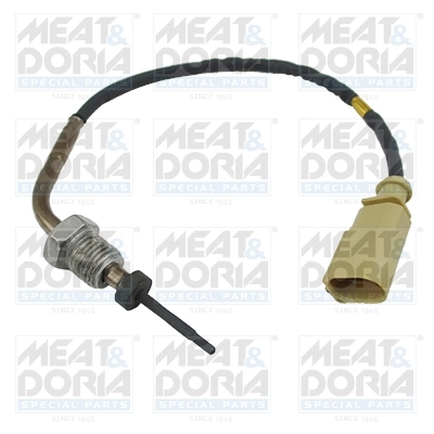 Sensor, exhaust gas temperature